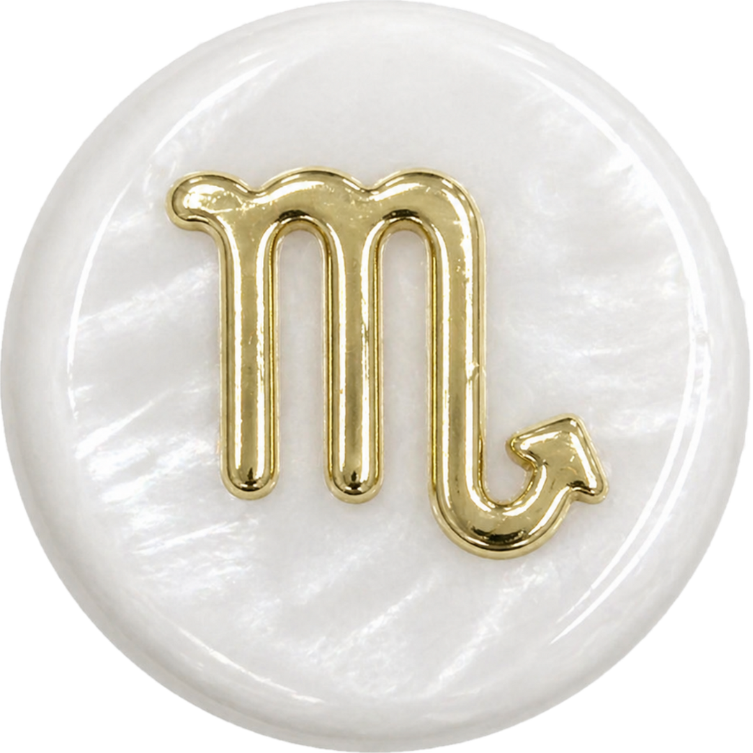 Scorpio Shell Bead