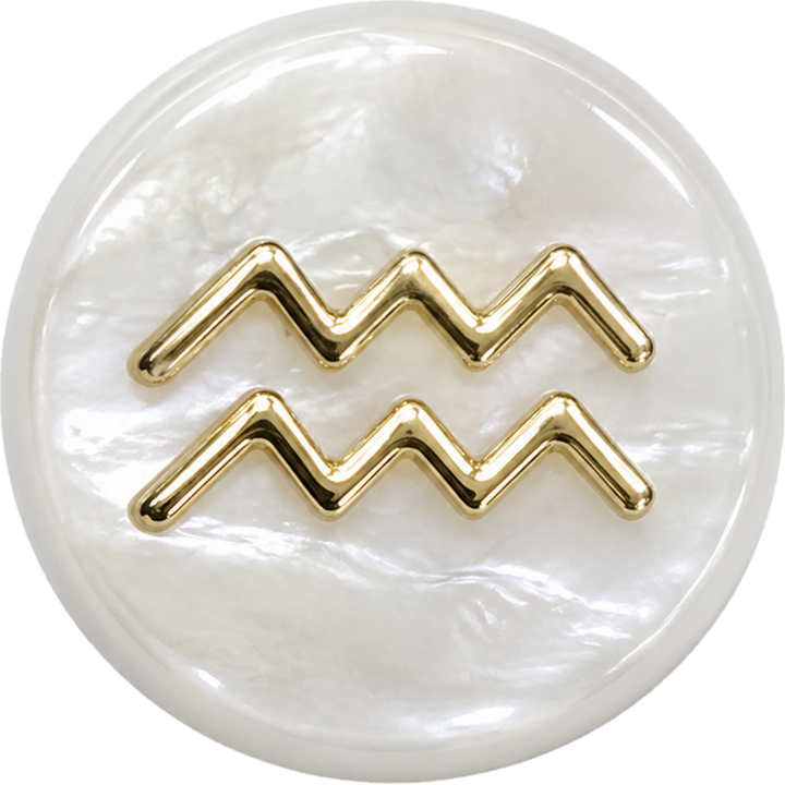 Aquarius Shell Bead