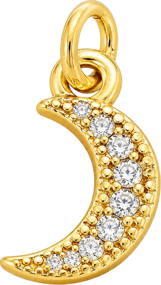 Gold Moon Charm