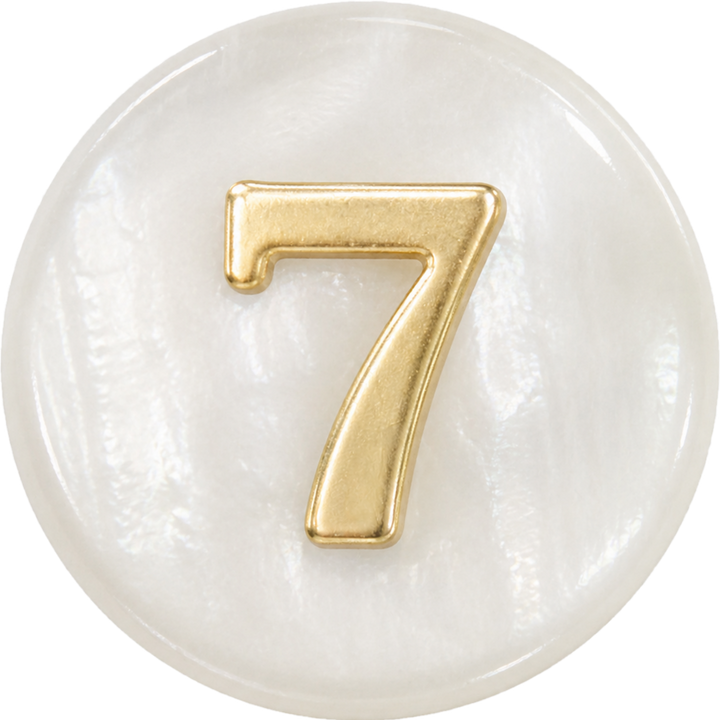 Shell Number 7
